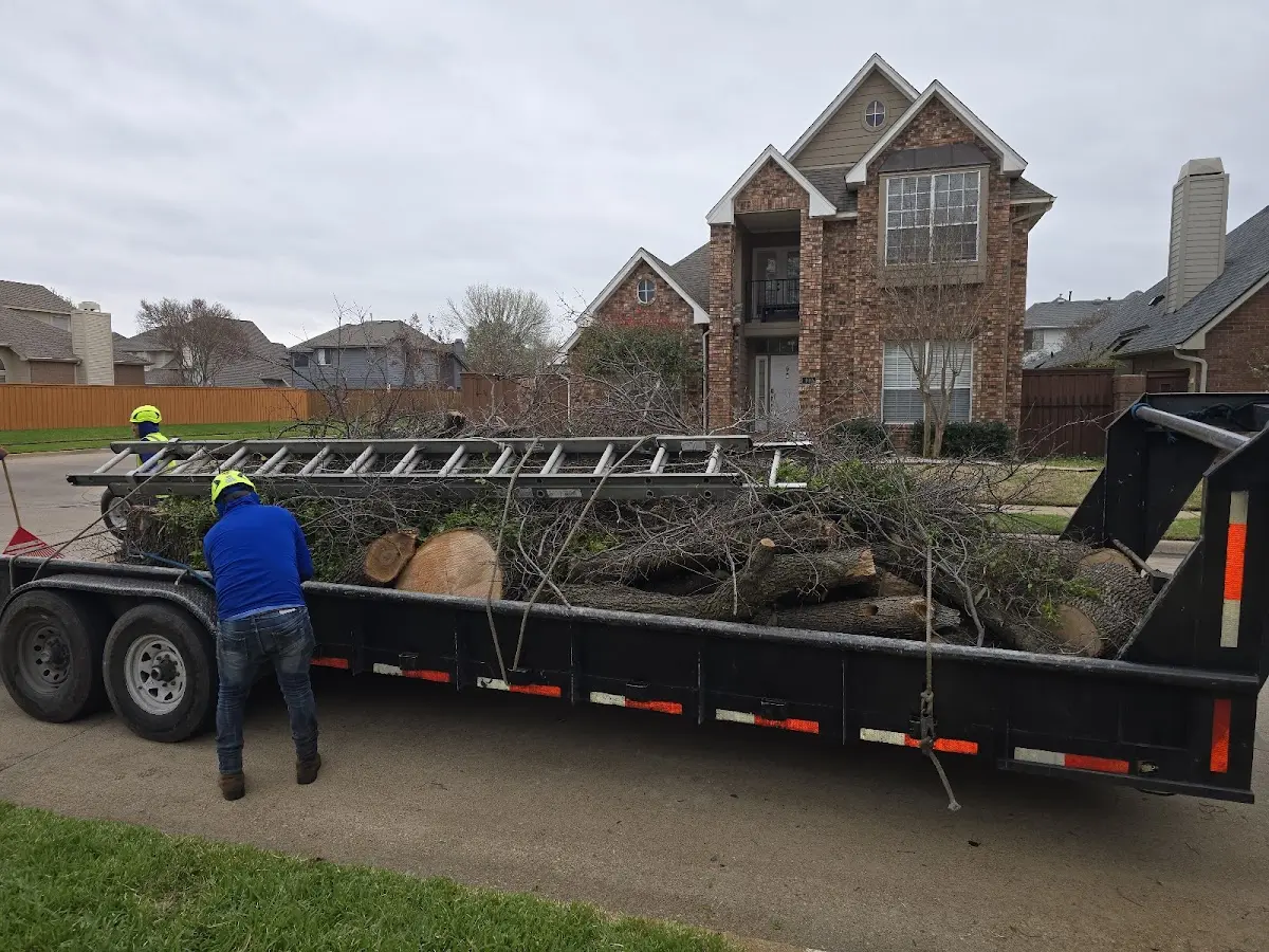Expert Tree Fertilization with proper safety equipment in Putnam